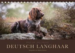 Passion Jagdhund - Deutsch Langhaar (Tischkalender 2023 DIN A5 quer)