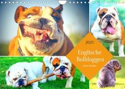 Dicke Freunde. Englische Bulldoggen (Wandkalender 2023 DIN A4 quer)
