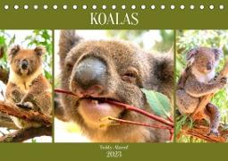 Koalas. Teddy-Alarm! (Tischkalender 2023 DIN A5 quer)