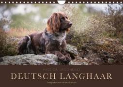 Passion Jagdhund - Deutsch Langhaar (Wandkalender 2023 DIN A4 quer)