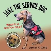 Jake the Service Dog