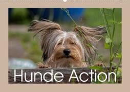 Hunde Action (Wandkalender 2023 DIN A2 quer)