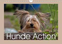 Hunde Action (Wandkalender 2023 DIN A4 quer)
