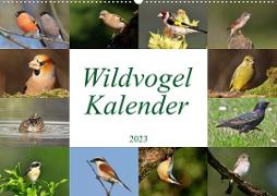 Wildvogelkalender (Wandkalender 2023 DIN A2 quer)