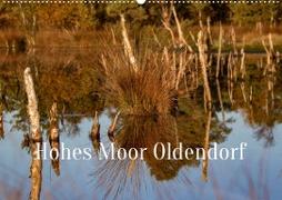 Hohes Moor Oldendorf (Wandkalender 2023 DIN A2 quer)
