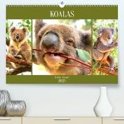 Koalas. Teddy-Alarm! (Premium, hochwertiger DIN A2 Wandkalender 2023, Kunstdruck in Hochglanz)