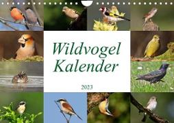 Wildvogelkalender (Wandkalender 2023 DIN A4 quer)