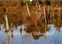 Hohes Moor Oldendorf (Wandkalender 2023 DIN A3 quer)