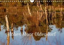 Hohes Moor Oldendorf (Wandkalender 2023 DIN A4 quer)