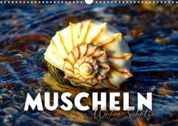 Muscheln - Wahre Schätze (Wandkalender 2023 DIN A3 quer)