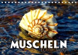 Muscheln - Wahre Schätze (Tischkalender 2023 DIN A5 quer)