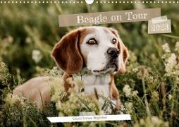 Beagle - Unser treuer Begleiter (Wandkalender 2023 DIN A3 quer)