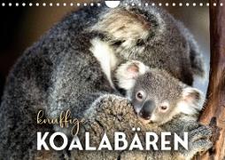 Knuffige Koalabären (Wandkalender 2023 DIN A4 quer)