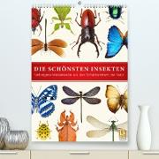 Die schönsten Insekten (Premium, hochwertiger DIN A2 Wandkalender 2023, Kunstdruck in Hochglanz)