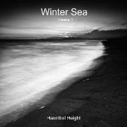 Winter Sea - Volume 1