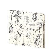 Botanicals - Gäste/Fotobuch, 230x220, 60 Seiten/offwhite