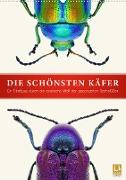 Die schönsten Käfer (Wandkalender 2023 DIN A2 hoch)