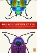 Die schönsten Käfer (Wandkalender 2023 DIN A3 hoch)