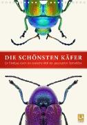 Die schönsten Käfer (Wandkalender 2023 DIN A4 hoch)