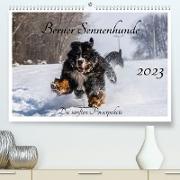 Berner Sennenhunde - Die sanften Powerpakete (Premium, hochwertiger DIN A2 Wandkalender 2023, Kunstdruck in Hochglanz)