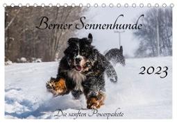 Berner Sennenhunde - Die sanften Powerpakete (Tischkalender 2023 DIN A5 quer)