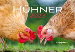 Hühner 2023