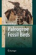 Paleogene Fossil Birds