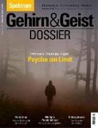 Gehirn & Geist Dossier - Psyche am Limit