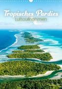 Tropisches Paradies Luftaufnahmen (Wandkalender 2023 DIN A3 hoch)