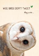 Weisheits-Postkarte Wise birds don't tweet, they write