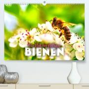 Die Welt der fleißigen Bienen (Premium, hochwertiger DIN A2 Wandkalender 2023, Kunstdruck in Hochglanz)