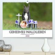 Geheimes Waldleben (Premium, hochwertiger DIN A2 Wandkalender 2023, Kunstdruck in Hochglanz)