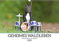 Geheimes Waldleben (Wandkalender 2023 DIN A3 quer)