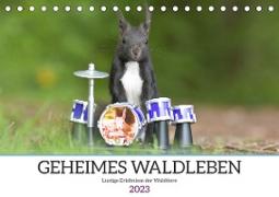 Geheimes Waldleben (Tischkalender 2023 DIN A5 quer)