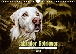 Verzauberung Labrador Retriever 2023 (Wandkalender 2023 DIN A4 quer)