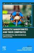 Magnetic Nanoferrites and their Composites