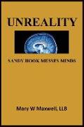 Unreality: Sandy Hook Messes Minds