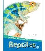 Reptiles: Reptiles