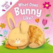 What Does Bunny Like?: Touch & Feel Board Book