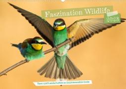 Faszination Wildlife (Wandkalender 2023 DIN A2 quer)