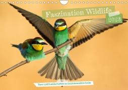 Faszination Wildlife (Wandkalender 2023 DIN A4 quer)