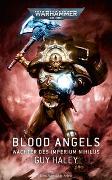 Warhammer 40.000 - Blood Angels - Wächter des Imperium Nihilus