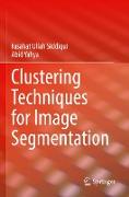 Clustering Techniques for Image Segmentation