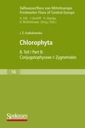 Süsswasserflora von Mitteleuropa, Bd. 16: Chlorophyta VIII
