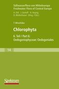 Süsswasserflora von Mitteleuropa, Bd. 14: Chlorophyta VI