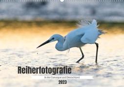 Reiherfotografie (Wandkalender 2023 DIN A2 quer)