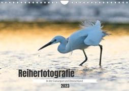 Reiherfotografie (Wandkalender 2023 DIN A4 quer)