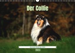 Der Collie der beste Hund der Welt (Wandkalender 2023 DIN A3 quer)