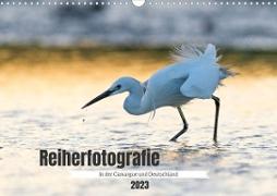 Reiherfotografie (Wandkalender 2023 DIN A3 quer)