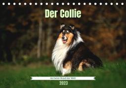 Der Collie der beste Hund der Welt (Tischkalender 2023 DIN A5 quer)
